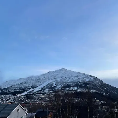 Stilren I Narvik! * Narvik