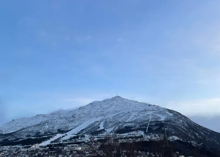 Stilren I Narvik! * ナルヴィク